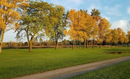 Golf Course 5