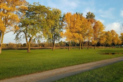 Golf Course 5