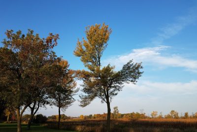 Golf Course 6